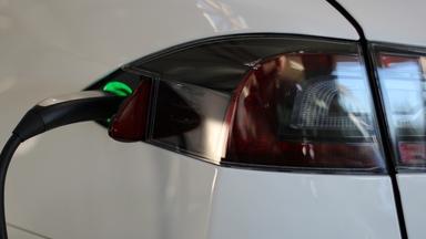 otomag