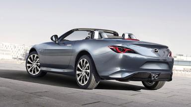 otomag