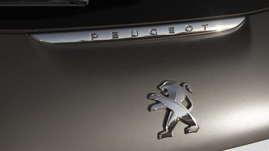 otomag