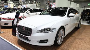 otomag