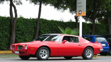 otomag