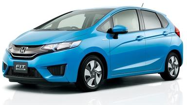 otomag
