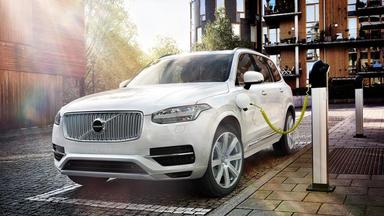 otomag
