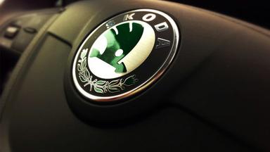 otomag